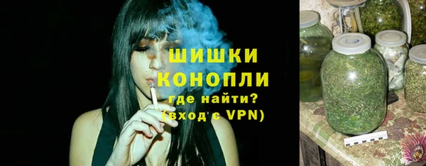 дживик Козельск