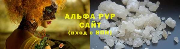 дживик Козельск