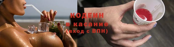дживик Козельск