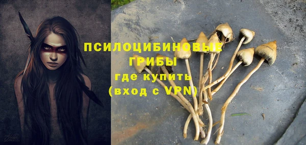 mdpv Козловка