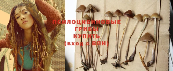 дживик Козельск