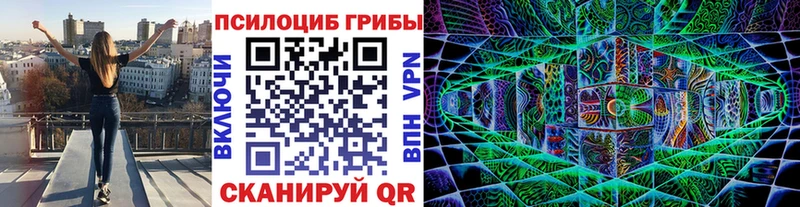 Галлюциногенные грибы Psilocybe  Купить  Дмитров 