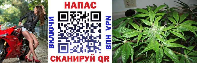 Бошки марихуана конопля Дмитров